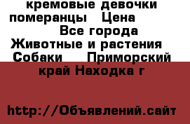 кремовые девочки померанцы › Цена ­ 30 000 - Все города Животные и растения » Собаки   . Приморский край,Находка г.